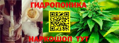 бошки Кунгур