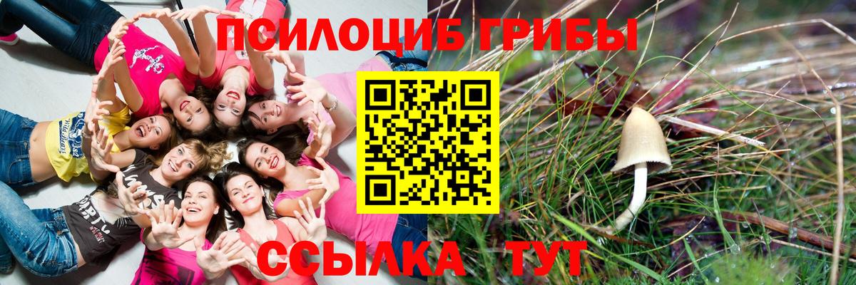 Галлюциногенные грибы мицелий Ессентуки