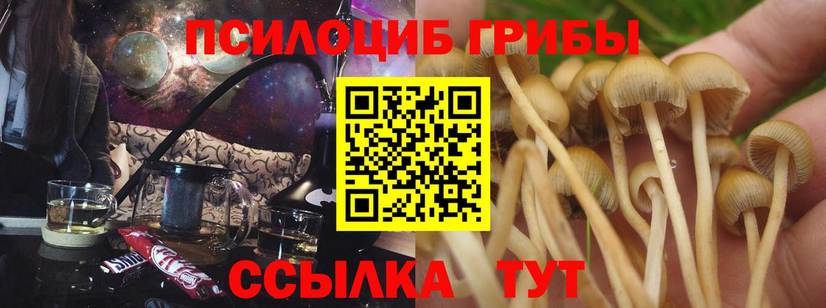 Галлюциногенные грибы Magic Shrooms  Вход с VPN  Ессентуки  Псилоцибиновые грибы MAGIC MUSHROOMS 